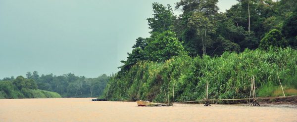 BEST PLACE TO SEE WILD LIFE IN BORNEO - Travel Monkey