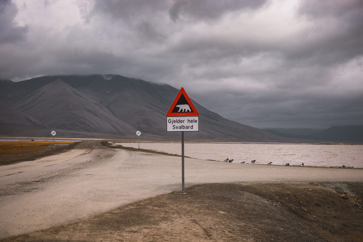 Svalbard Beware of Bears Sign