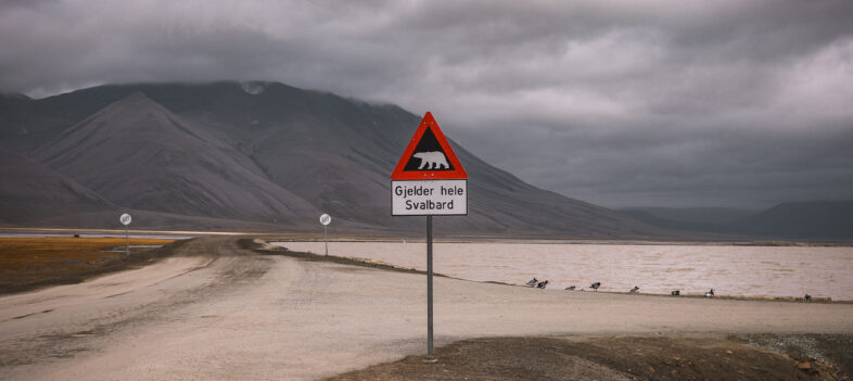 Svalbard Beware of Bears Sign